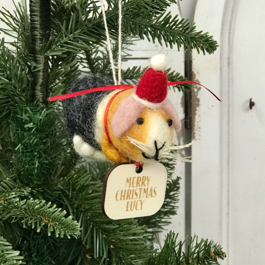 Guinea Pig With Hat