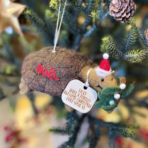 Tortoise With Mistletoe