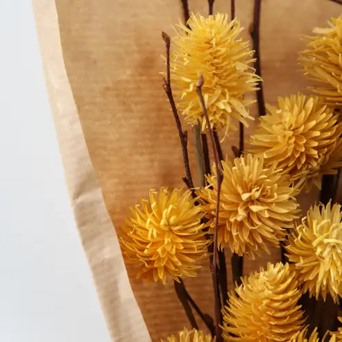 Dried Thistle Bundle in Paper Wrap - Ochre