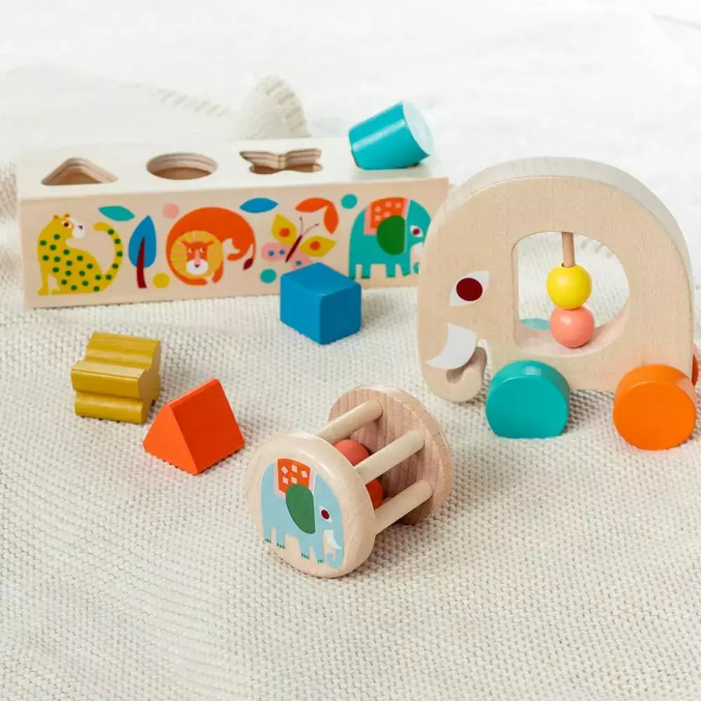 Wooden Toys & Books
