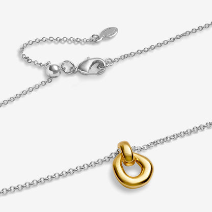 Silver & Gold Organic Link Necklace
