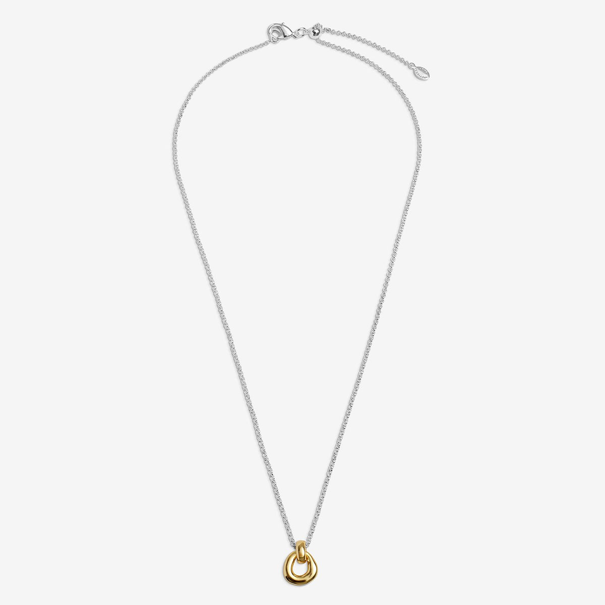 Silver & Gold Organic Link Necklace