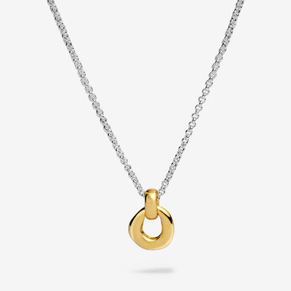 Silver & Gold Organic Link Necklace