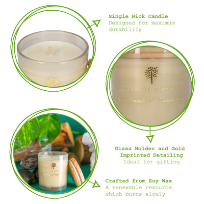 130g Green Pomelo & Passion Fruit Wax  Candle Nicola Spring