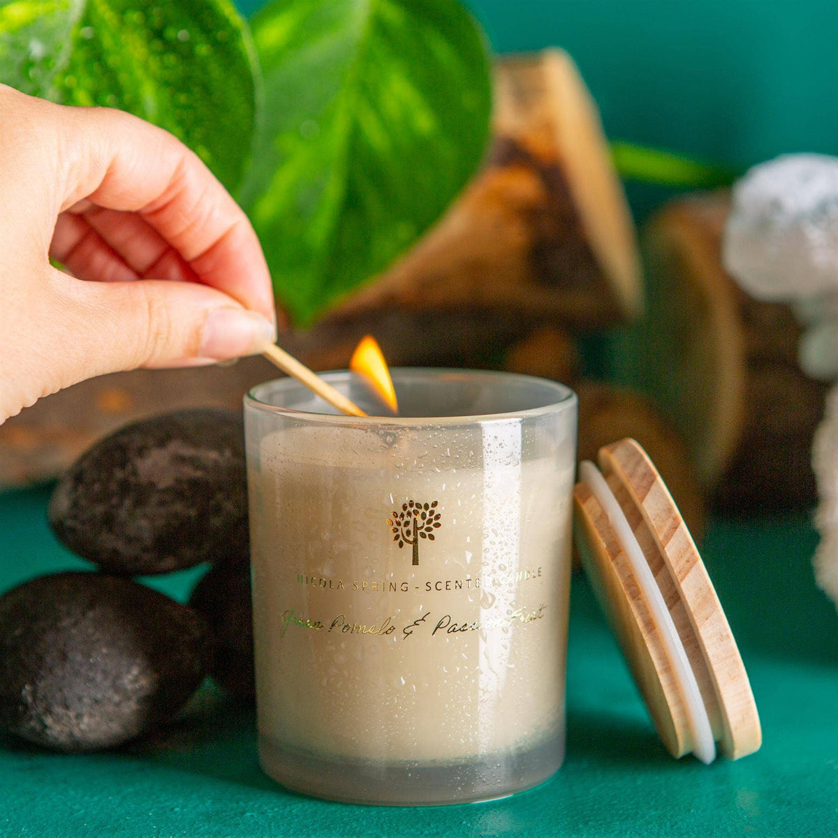 130g Green Pomelo & Passion Fruit Wax  Candle Nicola Spring