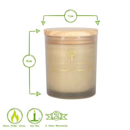 130g Green Pomelo & Passion Fruit Wax  Candle Nicola Spring