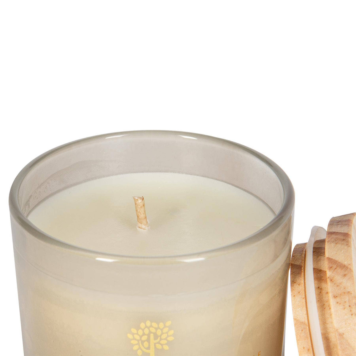 130g Green Pomelo & Passion Fruit Wax  Candle Nicola Spring