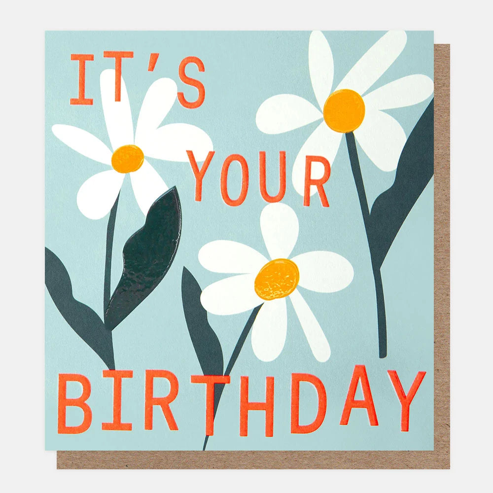 It's Your Birthday Daisies