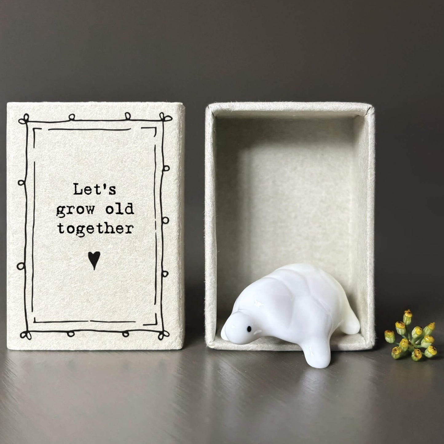 Tortoise Matchbox