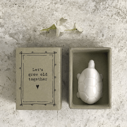 Tortoise Matchbox