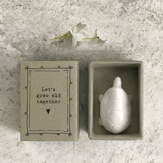 Tortoise Matchbox