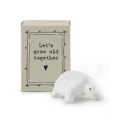 Tortoise Matchbox