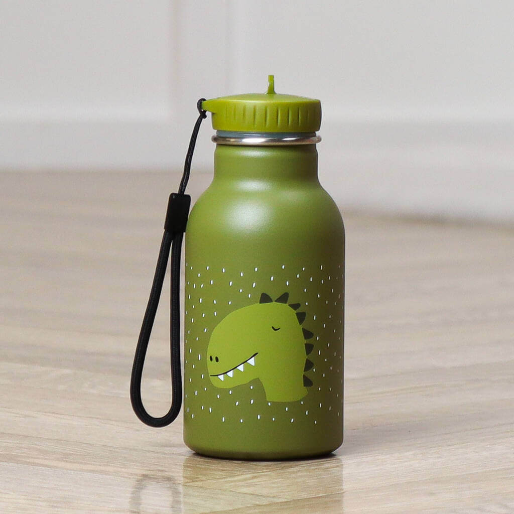 Mr. Dino Water Bottle 350ml
